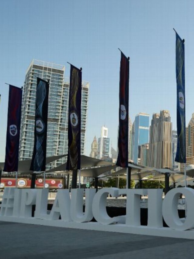 IPL auction 2025 – everything you need to know about the mega auction